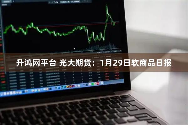 升鸿网平台 光大期货：1月29日软商品日报